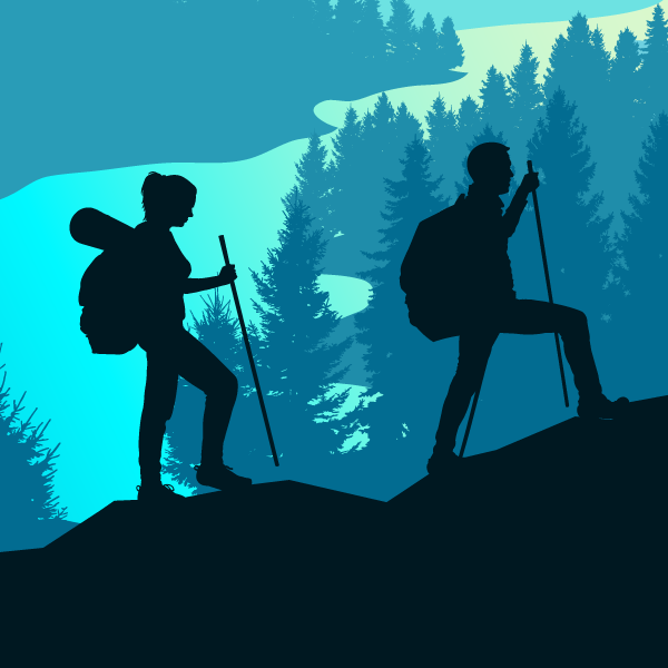 AI scouts exploring website